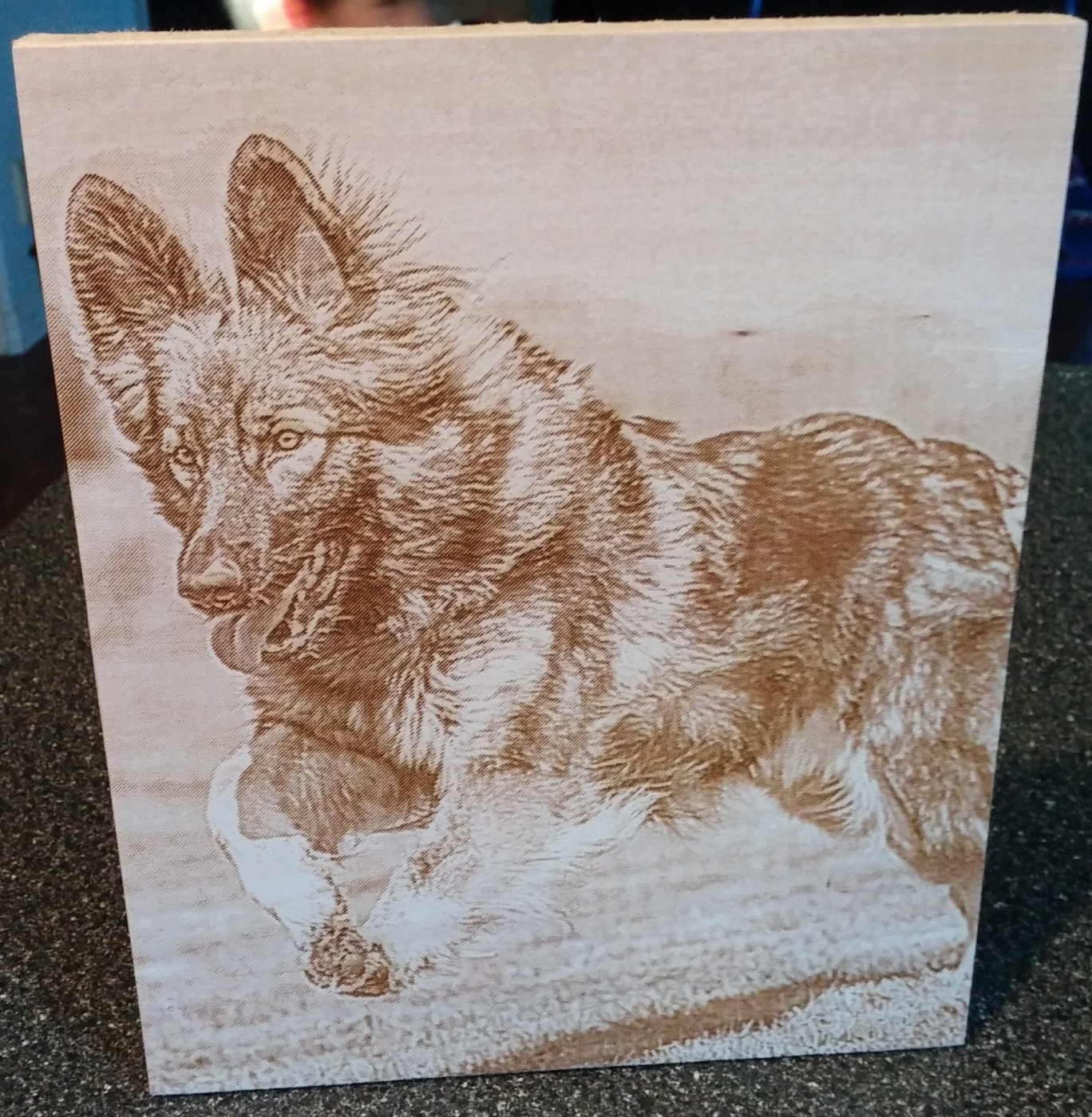 photo-gifts-pet-memorial-plaque-Basswood